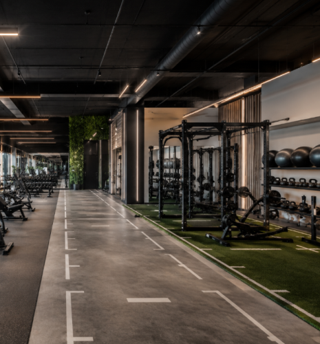 Rendering of a Gym